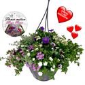 Afbeelding van HP37 Mega pot  Mix Super mix pot